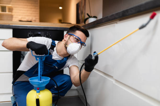 Best Bed Bug Extermination  in Westlake Village, CA