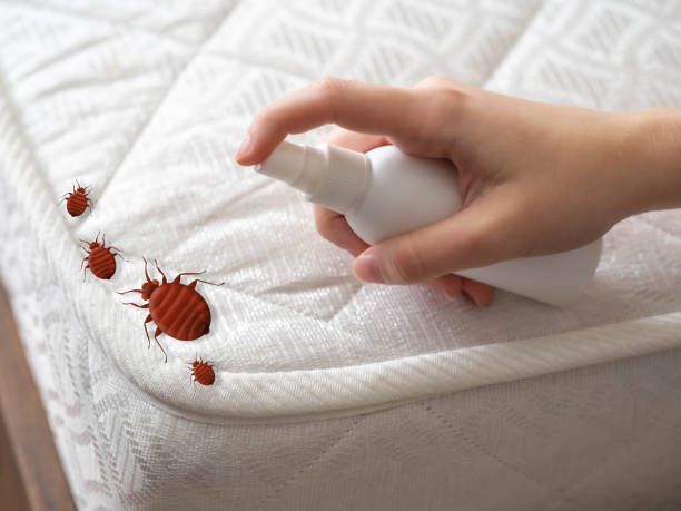 Best Pest Inspection Near Me  in Westlake Village, CA