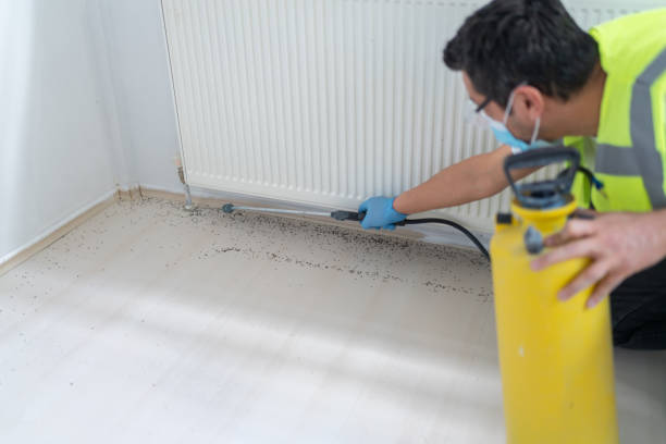 Reliable Westlake Village, CA Pest Control Solutions